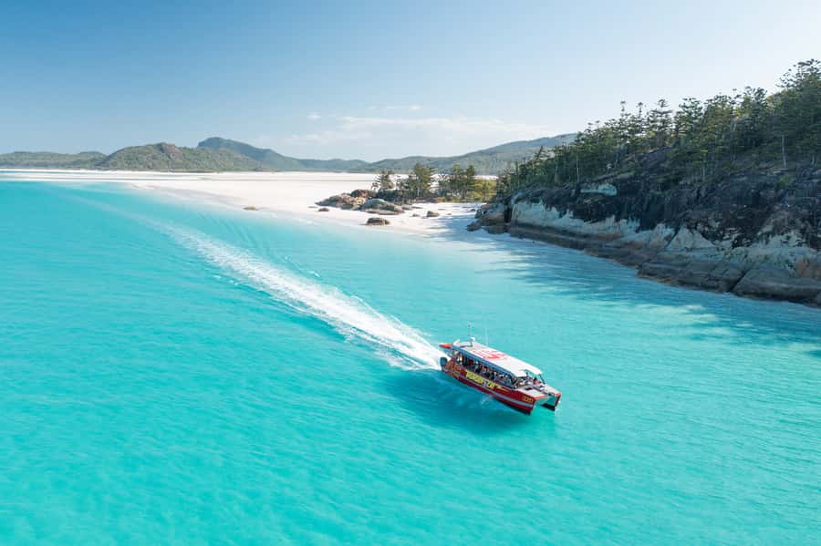 Airlie Beach: Whitehaven Full-Day Eco-Cruise with Buffet - Key reasons this cruise earns a close look