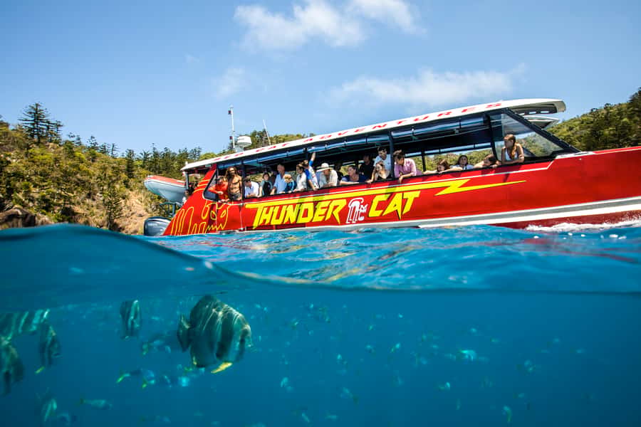 Airlie Beach: Whitehaven Full-Day Eco-Cruise with Buffet - Climate credentials and the value of the package