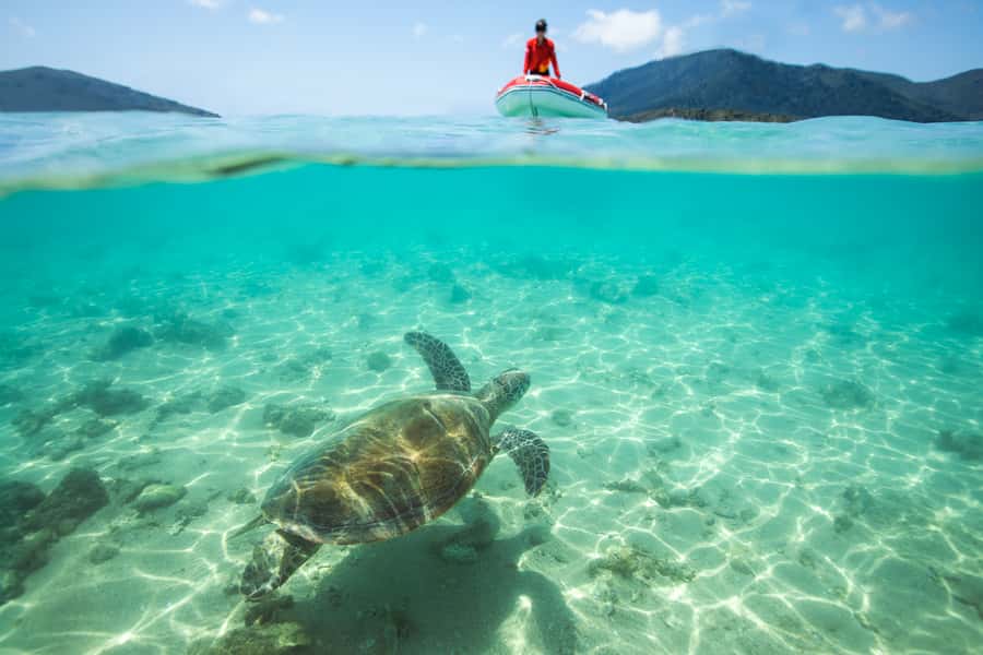 Airlie Beach: Whitehaven Full-Day Eco-Cruise with Buffet - The custom catamaran makes long crossings easier