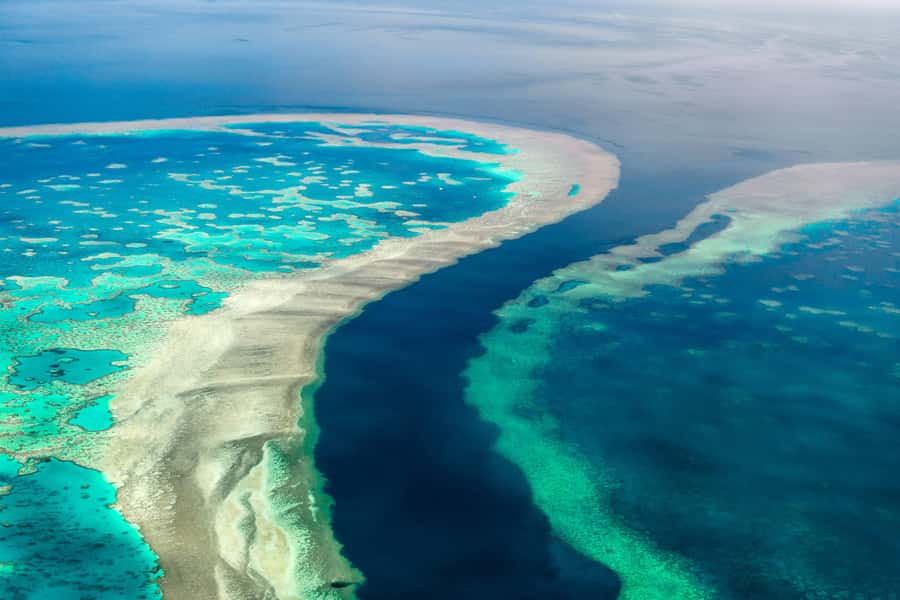 Airlie Beach: Whitsunday Islands & Heart Reef Scenic Flight - Five things to know before you book