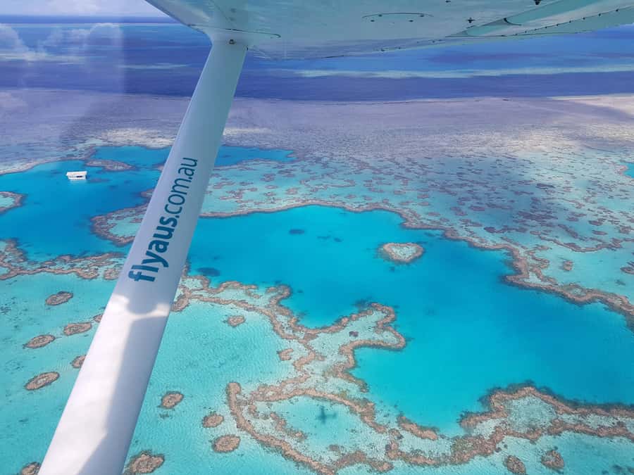 Airlie Beach: Whitsunday Islands & Heart Reef Scenic Flight - Why seeing the Whitsundays from a plane matters