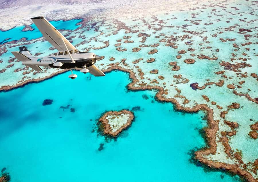 Airlie Beach: Whitsunday Islands & Heart Reef Scenic Flight - The fixed-wing aircraft and your window seat