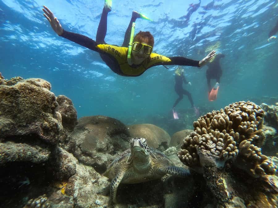 Airlie Beach: Whitsunday Islands Sailing, SUP & Snorkel Tour - Lunch, then another 90 minutes under sail