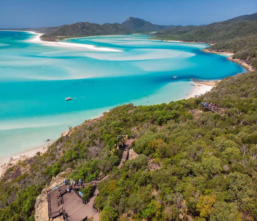 Airlie Beach: Whitsundays Full-Day Camira Sailing Adventure - One hour at a fringing reef