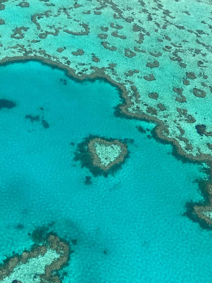 Airlie Beach: Whitsundays & Great Barrier Reef Scenic Flight - Why seeing the Whitsundays from the air matters