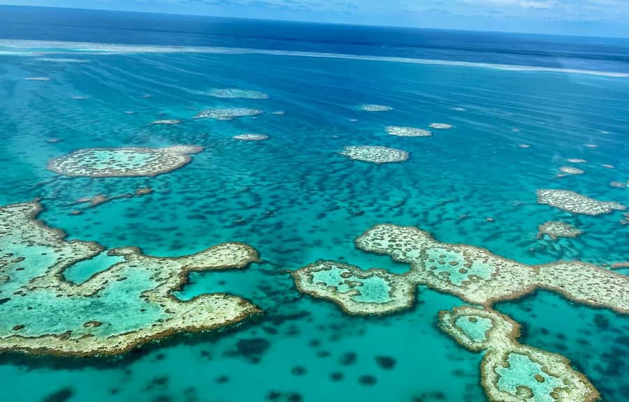 Airlie Beach: Whitsundays & Great Barrier Reef Scenic Flight - Takeoff and the small-plane setup
