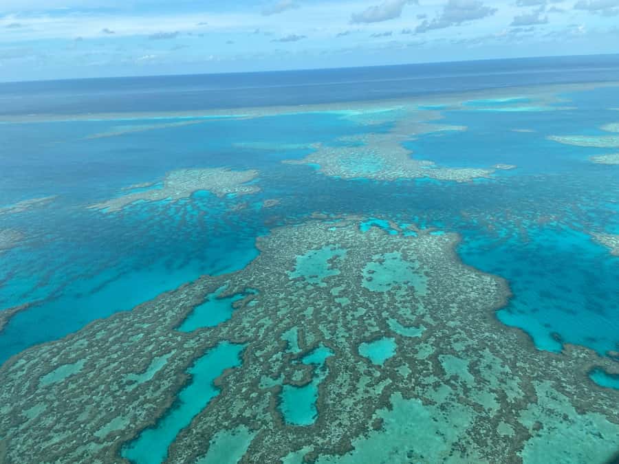 Airlie Beach: Whitsundays & Great Barrier Reef Scenic Flight - Conway National Park and Airlie Beach below