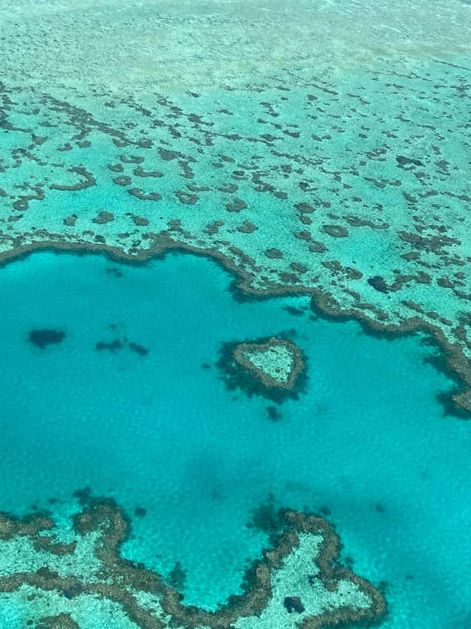 Airlie Beach: Whitsundays & Great Barrier Reef Scenic Flight - Whitehaven Beach and the Whitsunday Islands