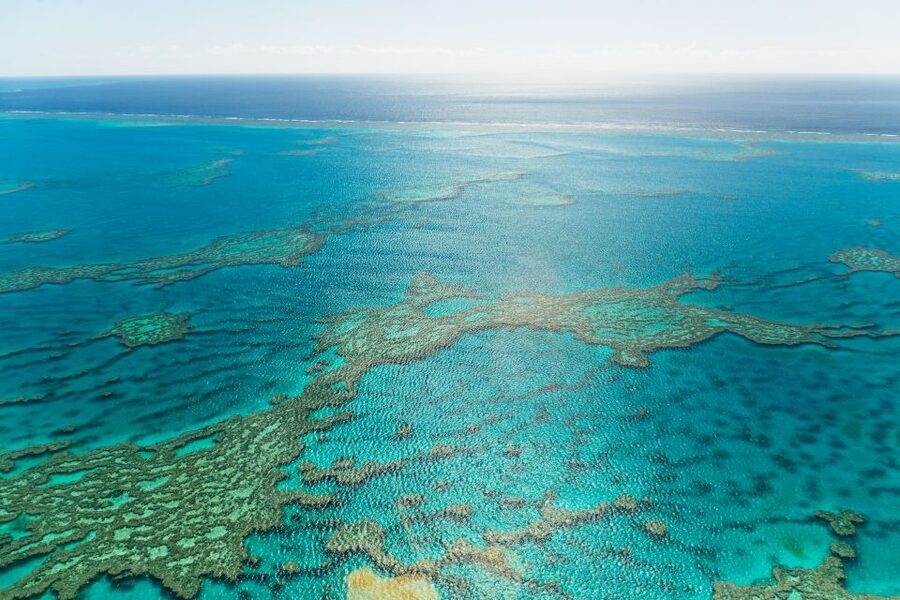 Airlie Beach: Whitsundays & Heart Reef Scenic Flight - Small details that make the day easier