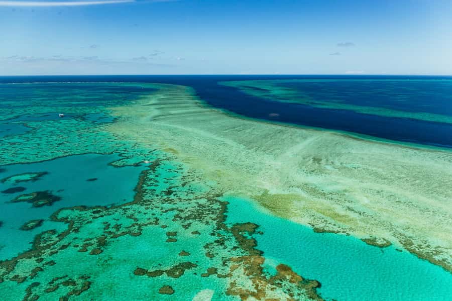 Airlie Beach: Whitsundays & Heart Reef Scenic Flight - Why this flight works so well from Airlie Beach