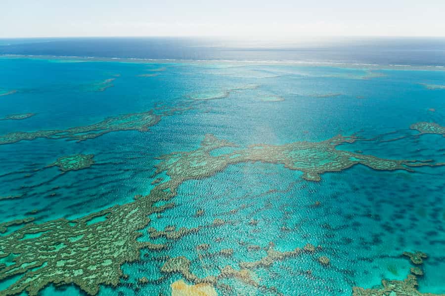 Airlie Beach: Whitsundays & Heart Reef Scenic Flight - Who will enjoy this most?
