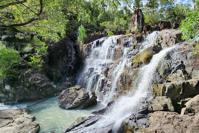 Airlie Waterfalls & Rainforest Bushwalk Eco Adventure - Cooling off at Cedar Creek Falls