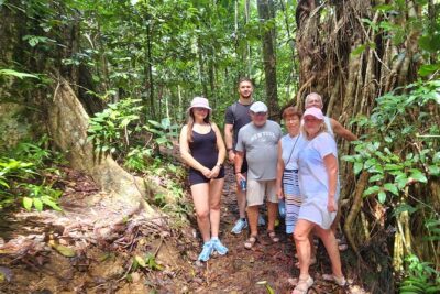 Airlie Waterfalls & Rainforest Bushwalk Eco Adventure