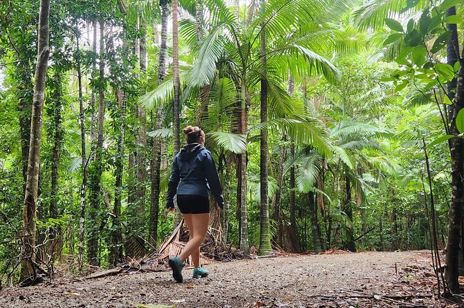 Airlie Waterfalls & Rainforest Bushwalk Eco Adventure - The guide is a central part of the experience