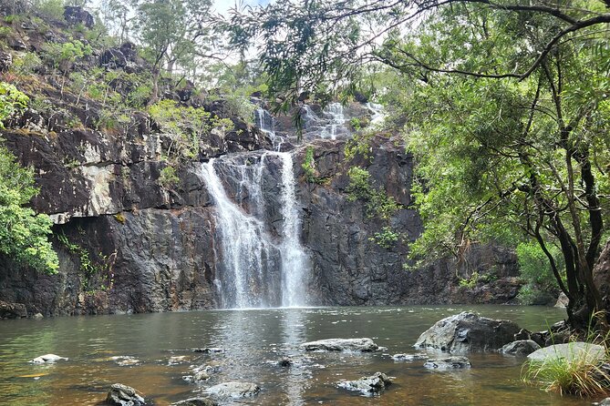 Airlie Waterfalls & Rainforest Bushwalk Eco Adventure - Is the $85.56 price good value?