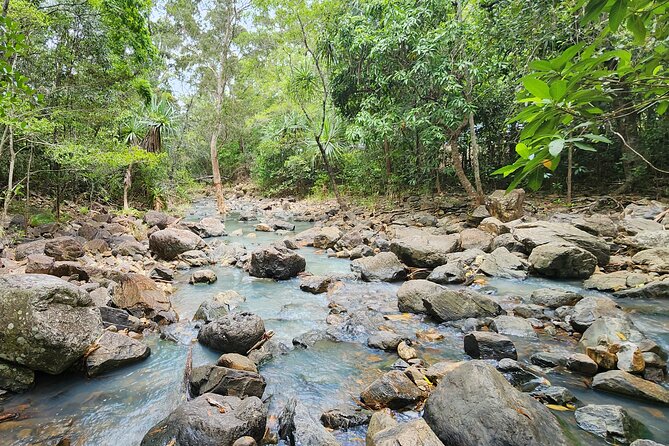 Airlie Waterfalls & Rainforest Bushwalk Eco Adventure - Who should book this Airlie Beach nature tour?