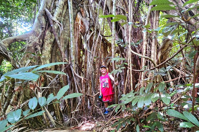 Airlie Waterfalls & Rainforest Bushwalk Eco Adventure - Simple ways to get more from the morning