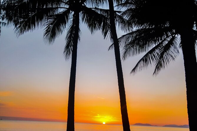Airport Transfers between Cairns Airport and Cairns City - The shared ride to Cairns City
