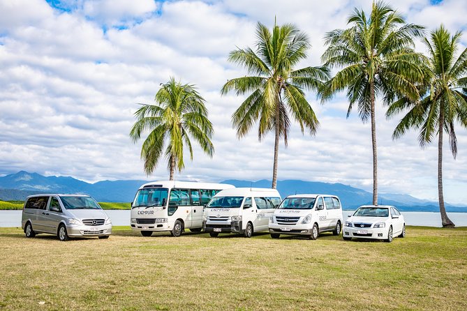 Airport Transfers between Cairns Airport and Palm Cove - Key Points Before You Book