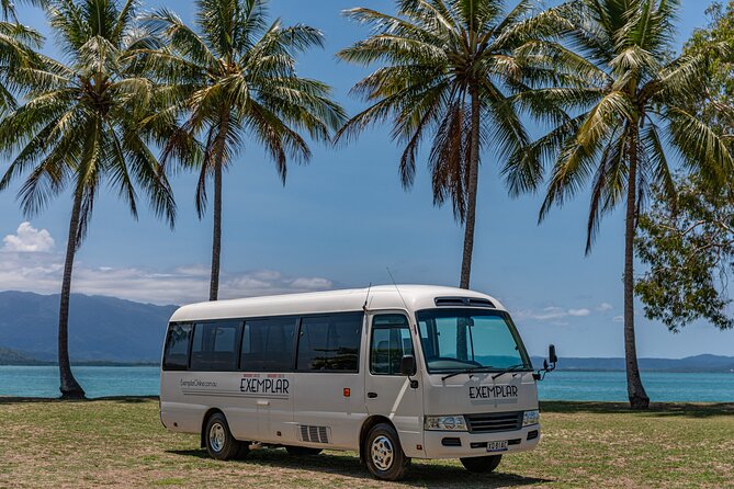 Airport Transfers between Cairns Airport and Palm Cove - Meeting the Driver at Cairns International