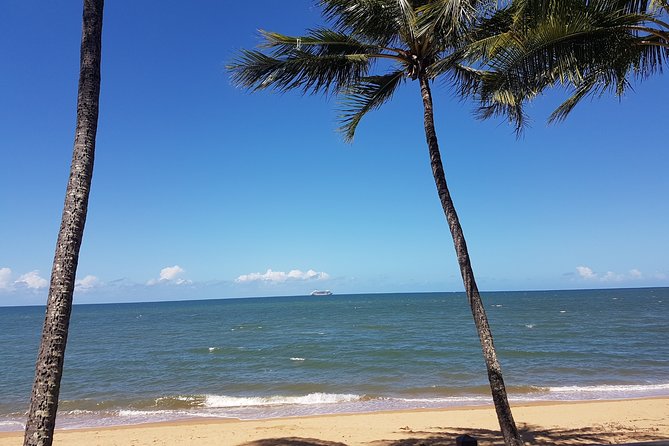 Airport Transfers between Cairns Airport and Palm Cove - Driver Service Is Usually the Bright Spot