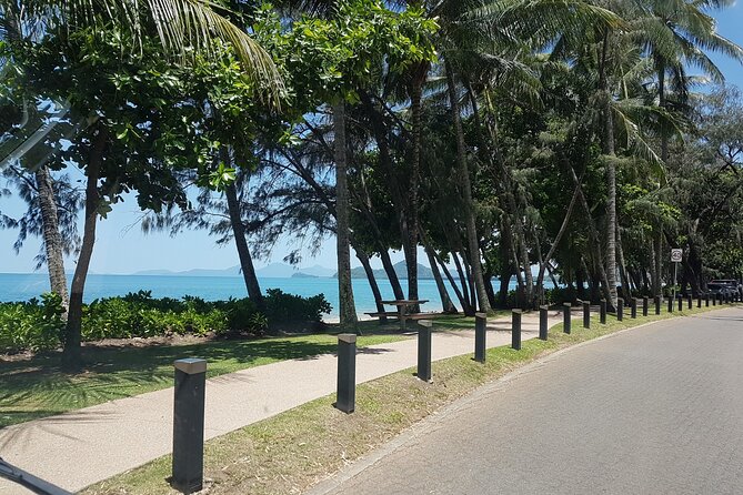 Airport Transfers between Cairns Airport and Palm Cove - Who Should Book This Service?