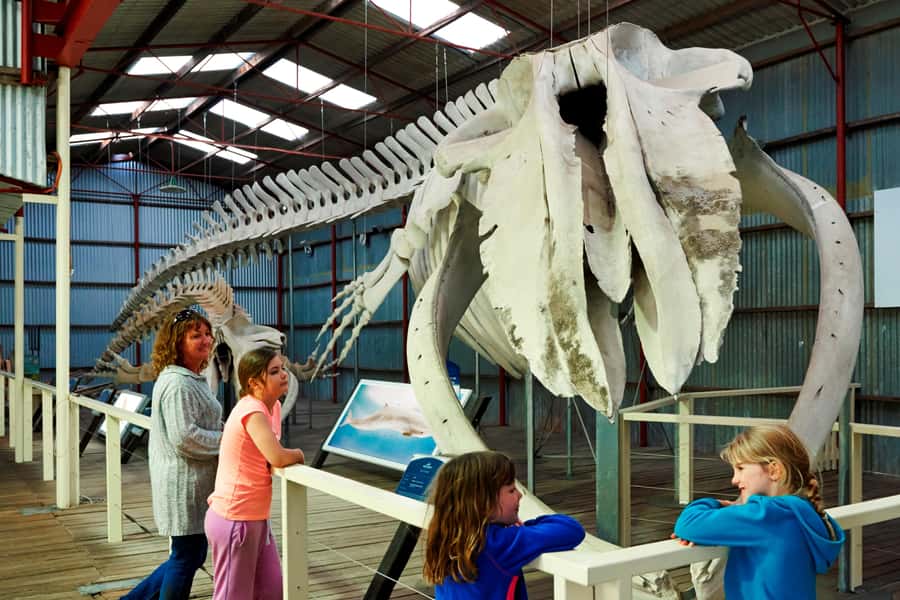 Albany: Historic Whaling Station Entry Ticket - Why Albany’s whaling station matters