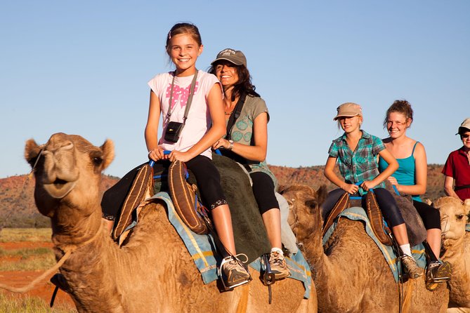 Alice Springs Camel Tour - Key points to know before booking