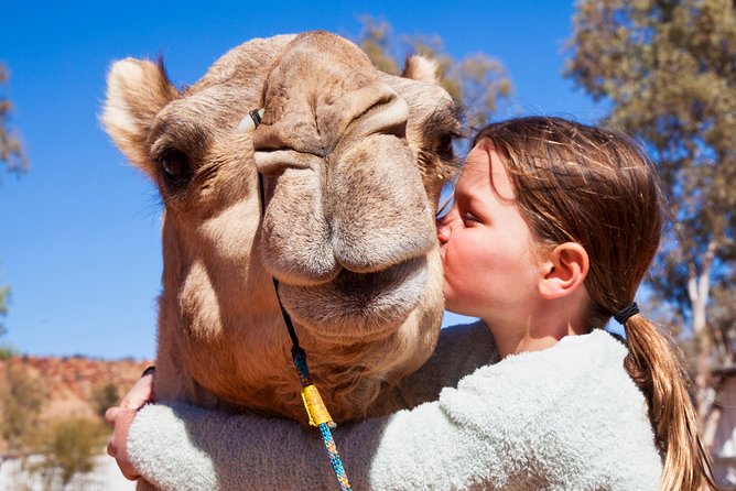 Alice Springs Camel Tour - What happens at Pyndan Camel Tracks