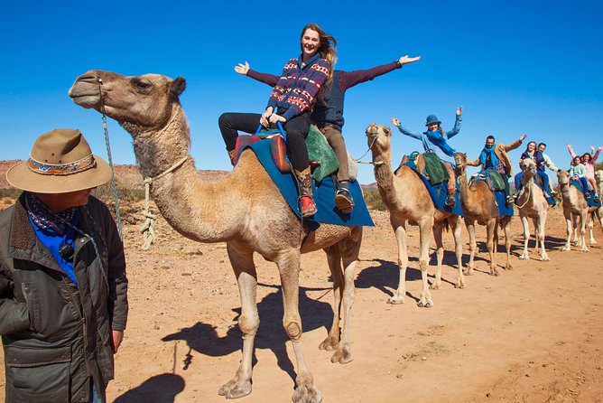 Alice Springs Camel Tour - The sunset departure is the best-value choice