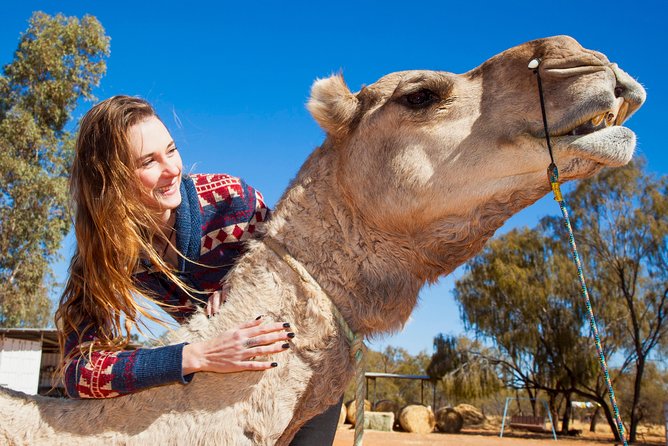 Alice Springs Camel Tour - Who will enjoy this experience most?