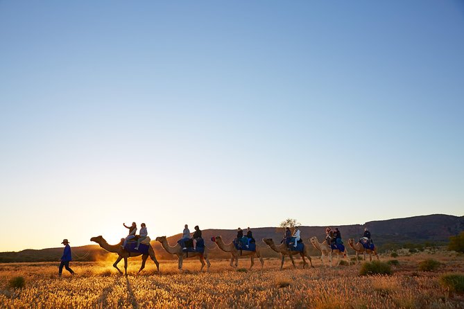 Alice Springs Camel Tour - Practical tips for a smoother ride