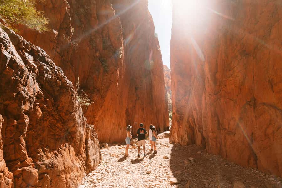 Alice Springs: West MacDonnell Ranges & Standley Chasm Tour - What the guides add to the day