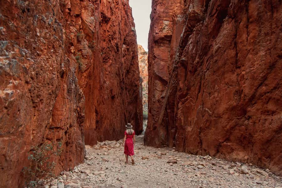 Alice Springs: West MacDonnell Ranges & Standley Chasm Tour - Mount Sonder Lookout: a short stop with a wide view