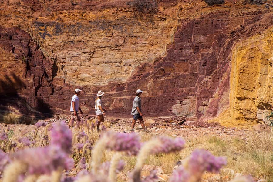 Alice Springs: West MacDonnell Ranges & Standley Chasm Tour - Ormiston Gorge: the day’s big finish