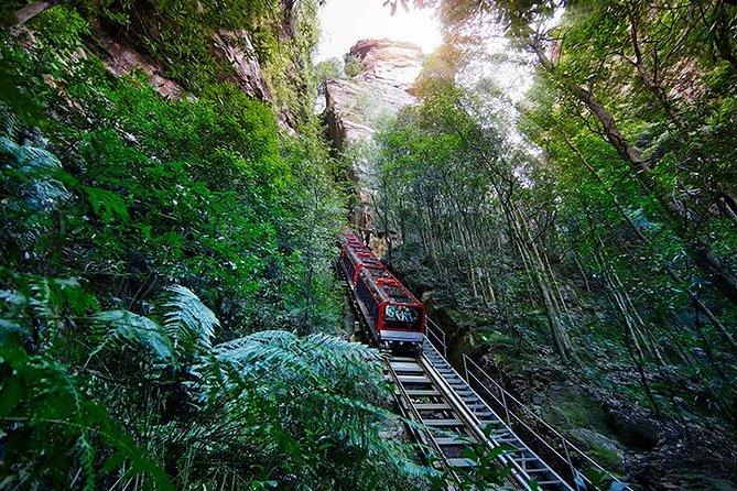 All Inclusive Blue Mountain,Scenic World,Lunch,Koalas,ferry - Lunch is a real break, not a snack in the vehicle