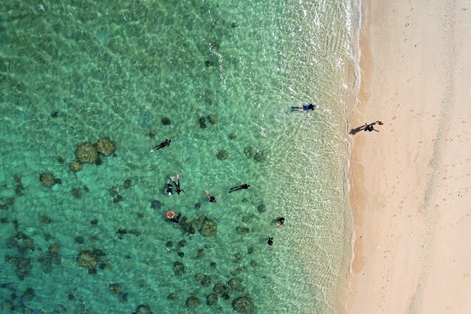 All Inclusive Day Tour to Frankland Islands Great Barrier Reef - The semi-submarine view