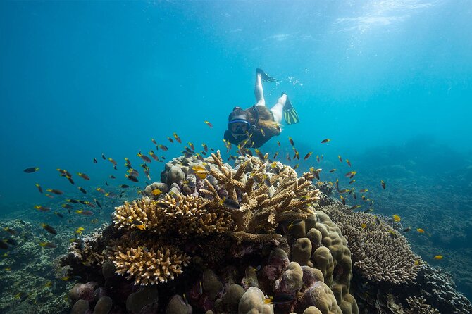 All Inclusive Day Tour to Frankland Islands Great Barrier Reef - How the $179.31 price holds up