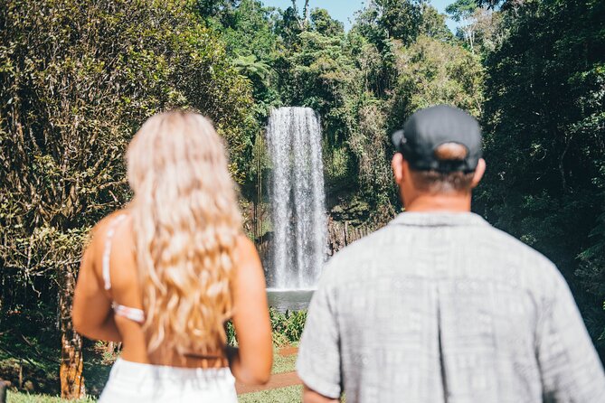 All Inclusive Waterfalls and Rainforest Tour from Cairns - What this Cairns day trip actually delivers