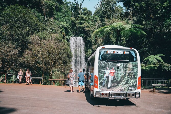 All Inclusive Waterfalls and Rainforest Tour from Cairns - The Cathedral Fig Tree and its cultural presentation