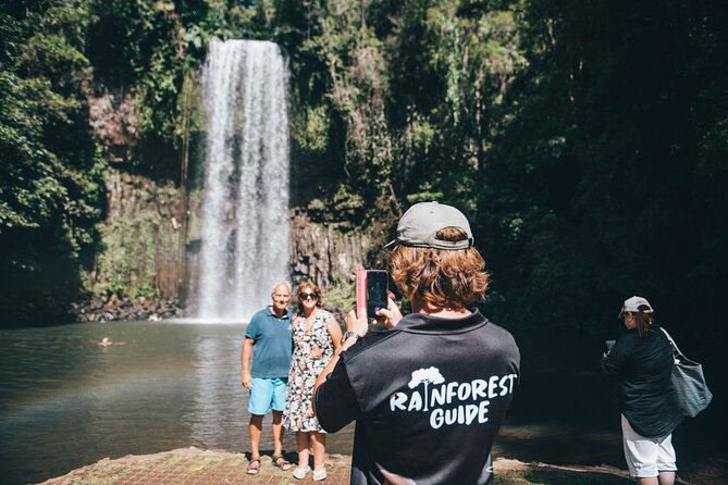 All Inclusive Waterfalls and Rainforest Tour from Cairns - Millaa Millaa Falls is the postcard stop
