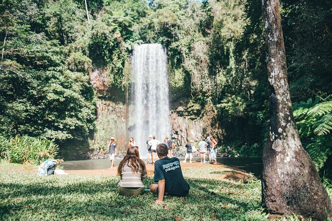 All Inclusive Waterfalls and Rainforest Tour from Cairns - Lunch in Malanda breaks up the water stops