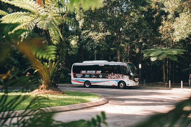 All Inclusive Waterfalls and Rainforest Tour from Cairns - Starting at Babinda Boulders