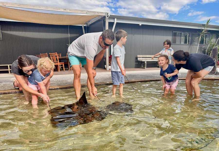Anna Bay: Irukandji Entry Pass with Shallows Encounter - Key points to know before you go