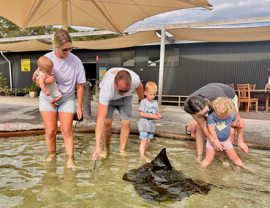 Anna Bay: Irukandji Entry Pass with Shallows Encounter - Why Irukandji feels different from an aquarium