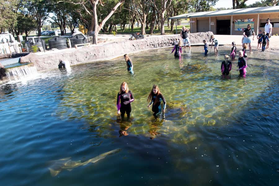 Anna Bay: Irukandji Entry Pass with Shallows Encounter - Tropical Lagoon and the shark encounters