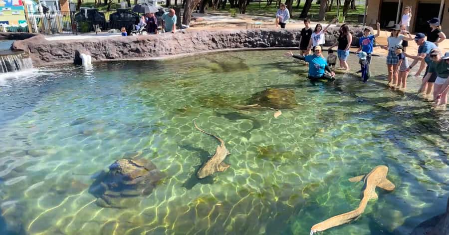 Anna Bay: Irukandji Entry Pass with Shallows Encounter - What the two-hour visit feels like