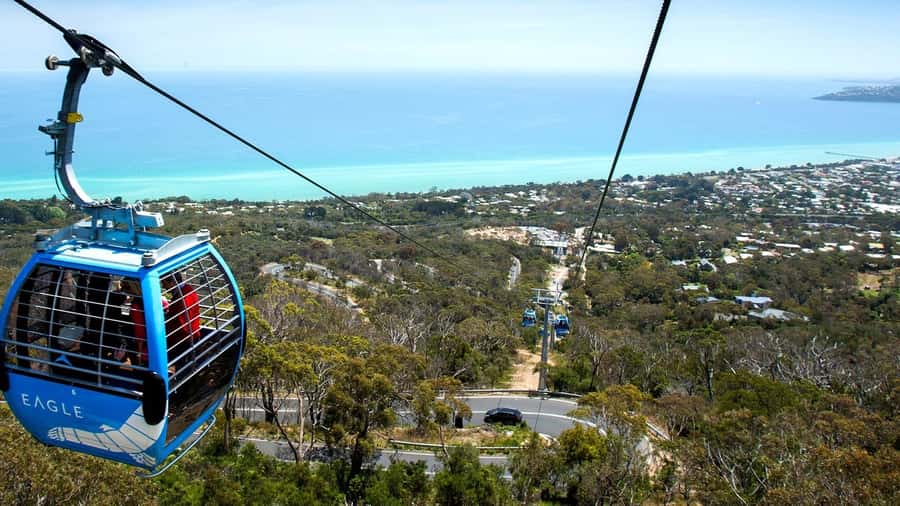 Arthurs Seat Eagle: Scenic Gondola Ride - Key points to know before you ride