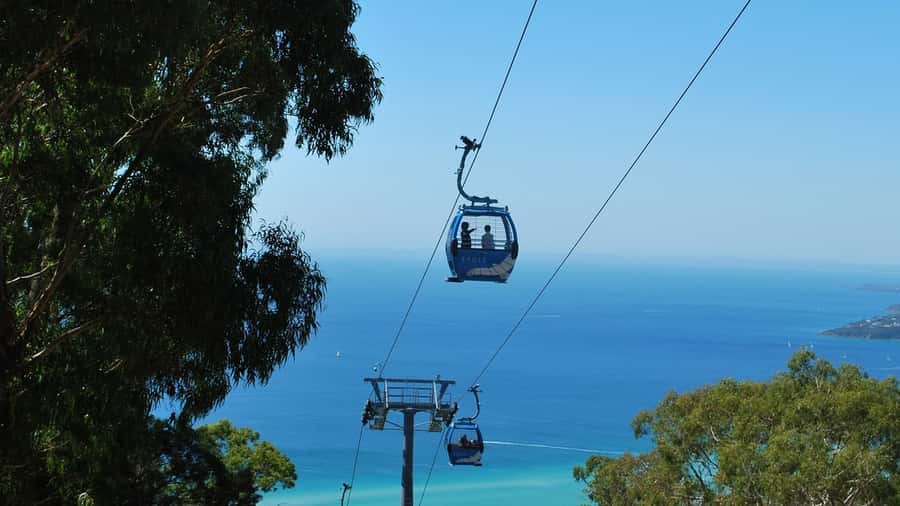 Arthurs Seat Eagle: Scenic Gondola Ride - At 314 metres, the summit changes the view