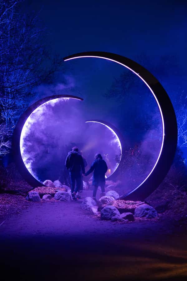 Astra Lumina Entry at Currumbin Wildlife Sanctuary - What Astra Lumina Is Really Like